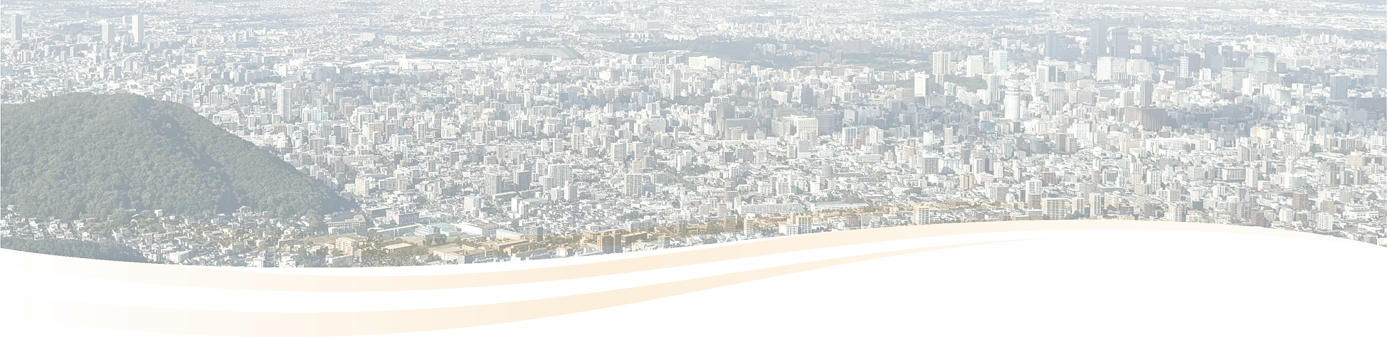 pc動画